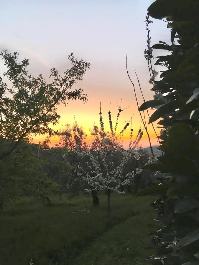 Podere Di Belforte 바뇨아리폴리 외부 사진