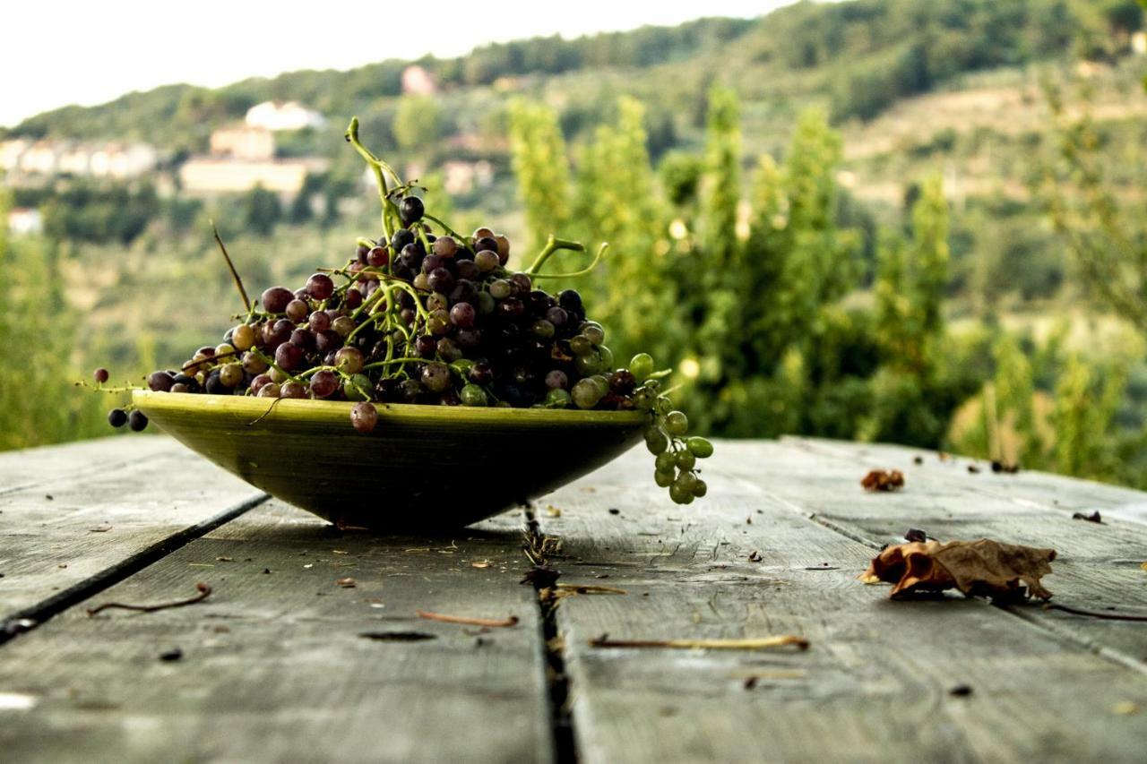 Podere Di Belforte 바뇨아리폴리 외부 사진